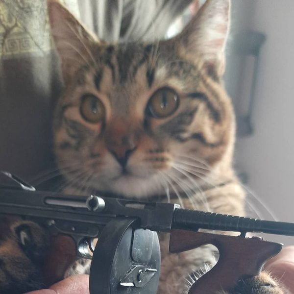 Tommy Gun - Image 4